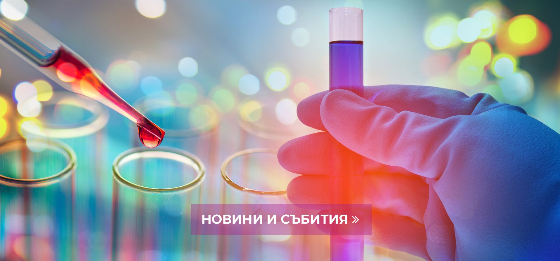 Новини и събития