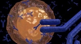 Нов начин на лечение на захарен диабет тип 1 чрез Т-клетки – дали ще се окаже ефективен?