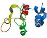 Откриха нова молекула свързана със захарен диабет тип 1